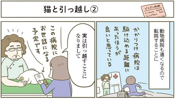動物病院も転院することに （C）卵山玉子／KADOKAWA