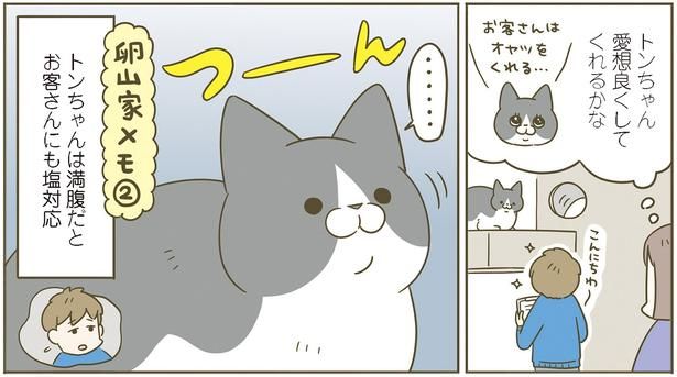 トンちゃん愛想良くしてくれるかな （C）卵山玉子／KADOKAWA