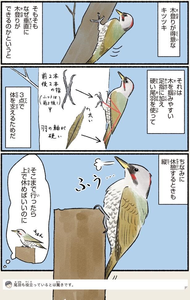 休憩するときも縦 （C）piro piro piccolo／KADOKAWA