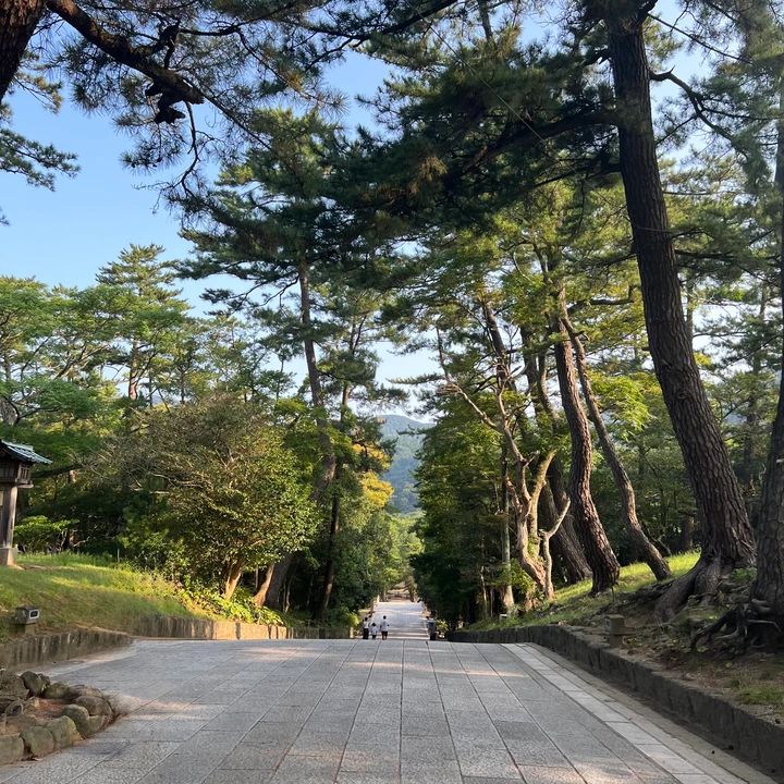 出雲大社の参道