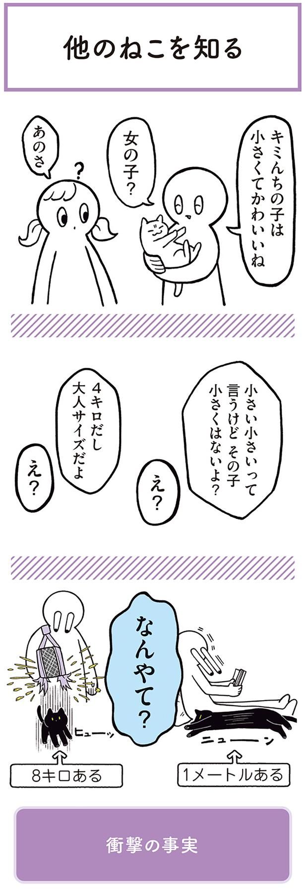 小さい小さいって言うけど その子小さくはないよ？ （C）AKR／KADOKAWA