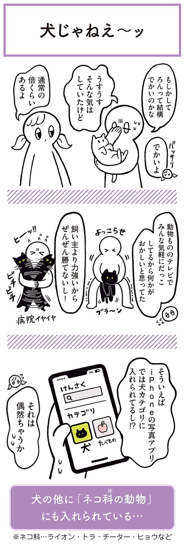 うすうすそんな気はしていたけど （C）AKR／KADOKAWA