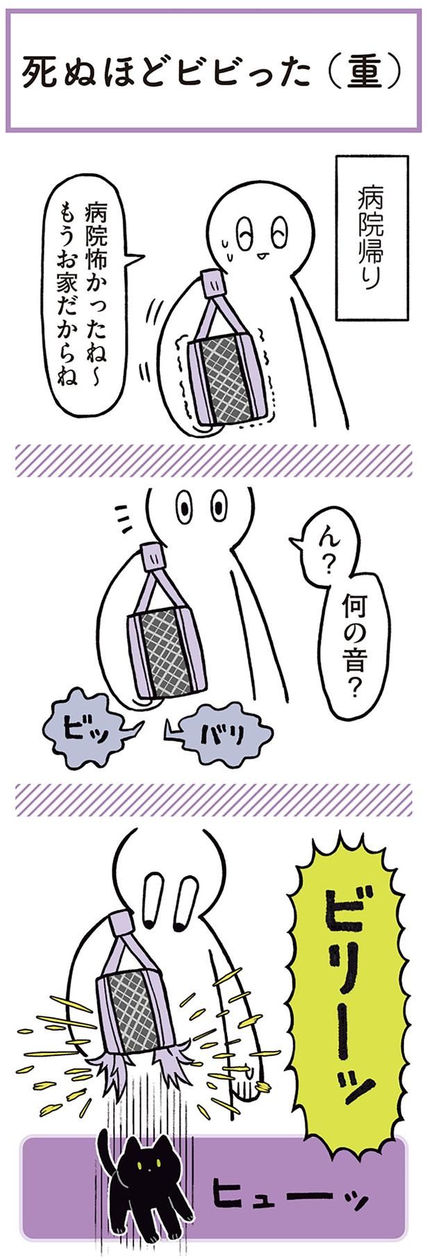 病院怖かったね～ （C）AKR／KADOKAWA