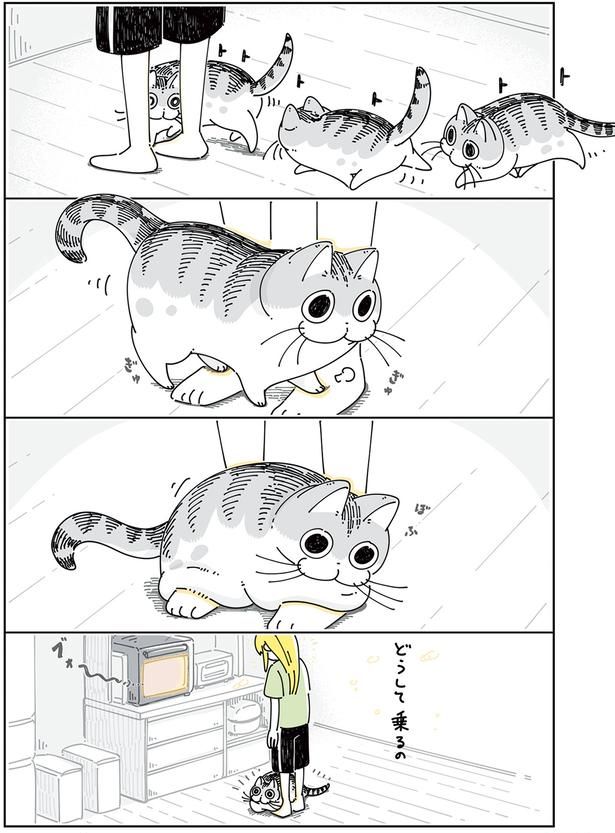 足元でアピールするネコ （C）キュルZ／KADOKAWA