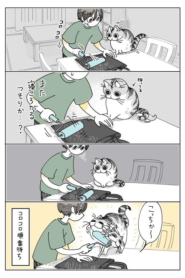 02 画像提供：キュルZ@kyuryuZ