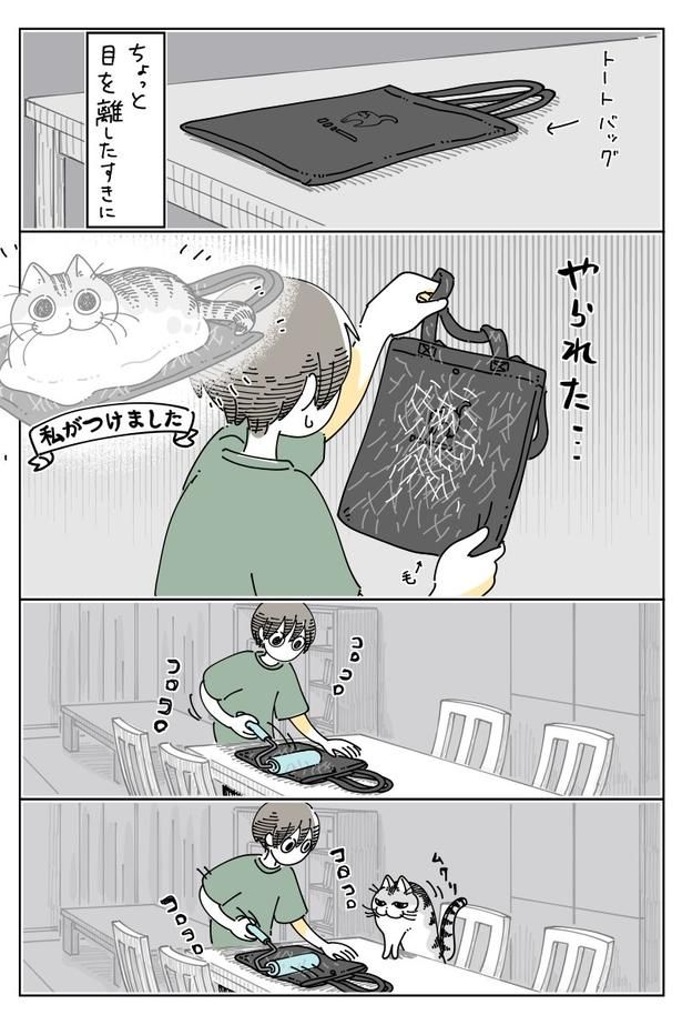『待つネコ』01 画像提供：キュルZ@kyuryuZ
