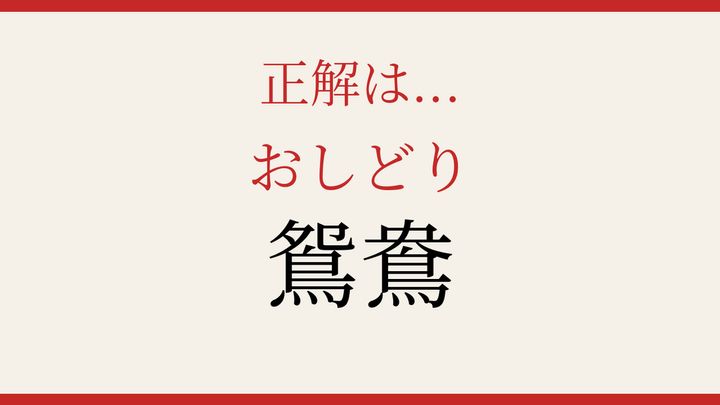 【難読漢字】これが読めたら博識！夫婦円満の象徴の解答画像