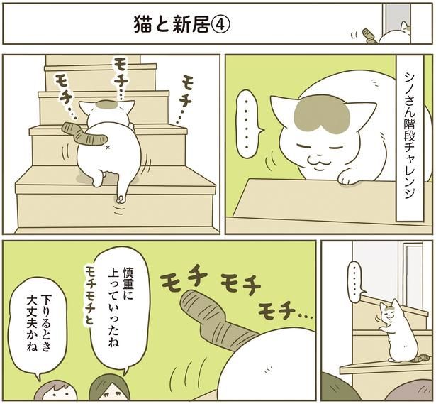 モチ…モチ…モチ… （C）卵山玉子／KADOKAWA