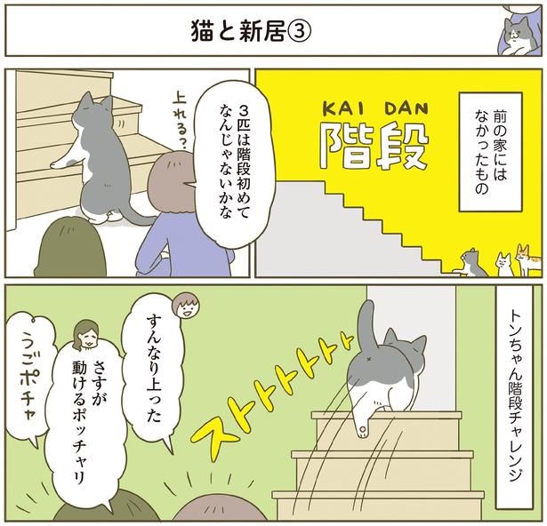前の家にはなかった階段 （C）卵山玉子／KADOKAWA