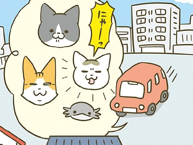 いざ新居へ！ （C）卵山玉子／KADOKAWA