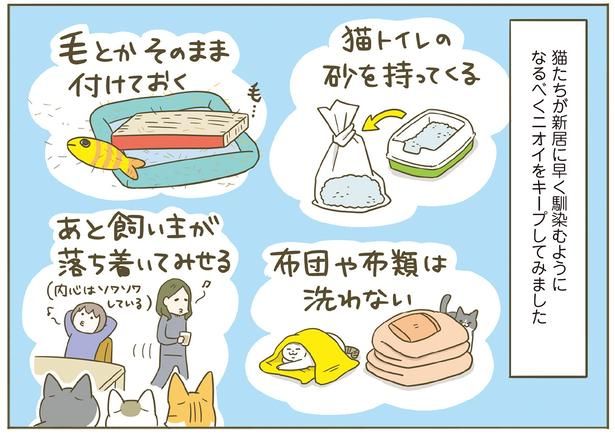 早く新居に馴染むように （C）卵山玉子／KADOKAWA