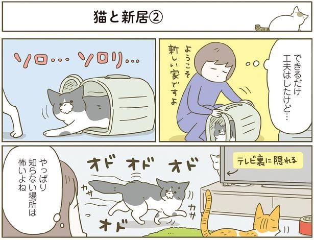 やっぱり知らない場所は怖いよね （C）卵山玉子／KADOKAWA