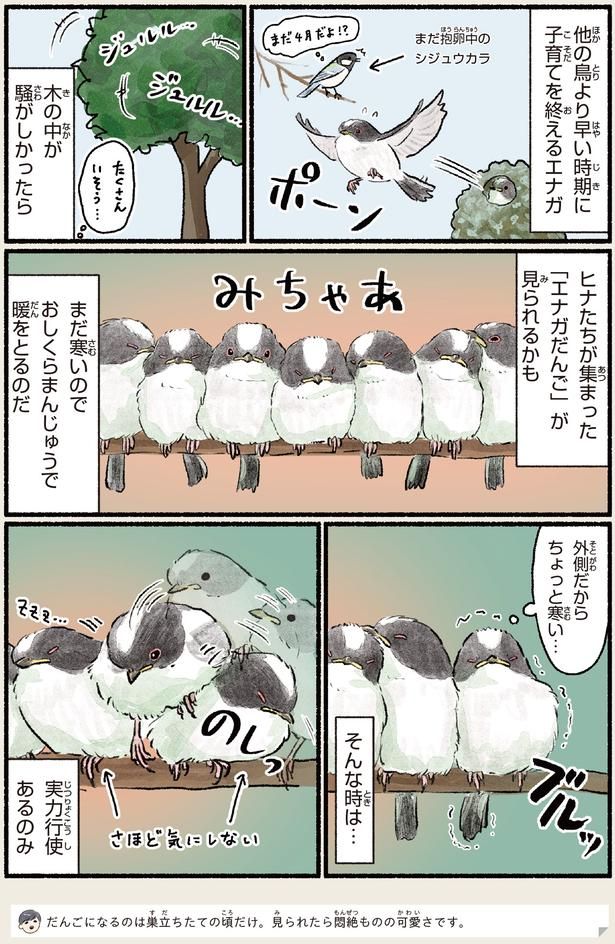 実力行使あるのみ （C）piro piro piccolo／KADOKAWA