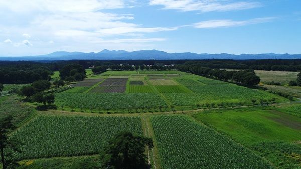 ホテルコンチネンタル府中が直営農場で生産するブランド卵「青玉」をオンラインで販売