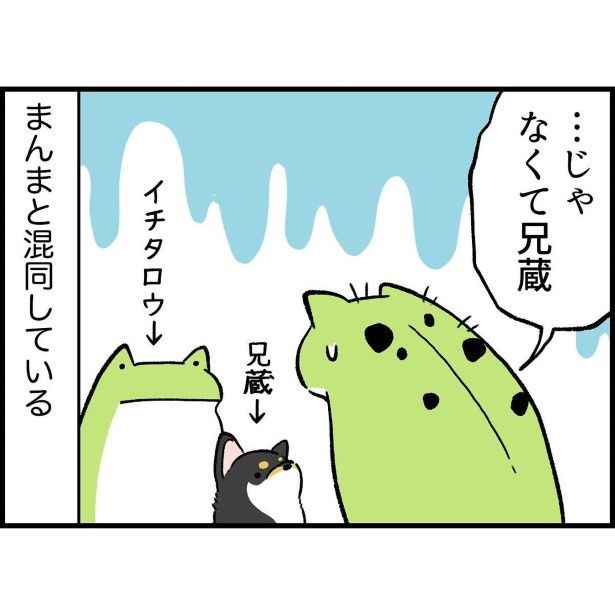 子どもの名前とペットの名前わりと間違えがち_6 ユウコトリトリ(@yuko_toritori)