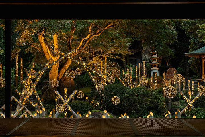 【人口1万人の町に5万人が殺到!?】新潟・田上町の「竹あかりアート」が幻想的すぎる！映え空間と絶品フードを現地レポ