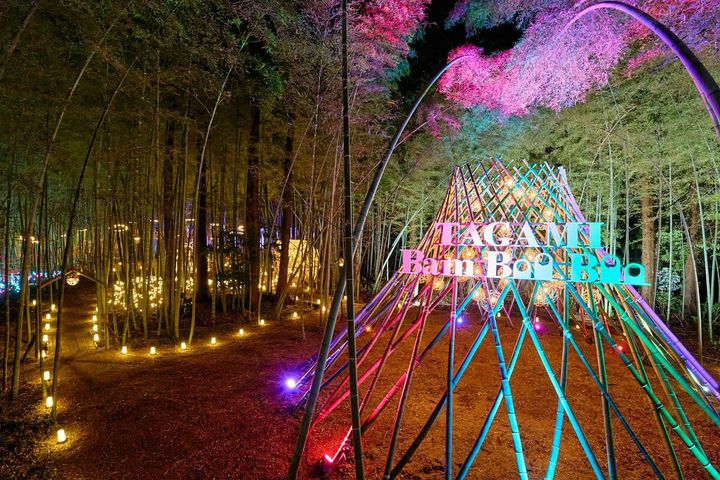 【人口1万人の町に5万人が殺到!?】新潟・田上町の「竹あかりアート」が幻想的すぎる！映え空間と絶品フードを現地レポ