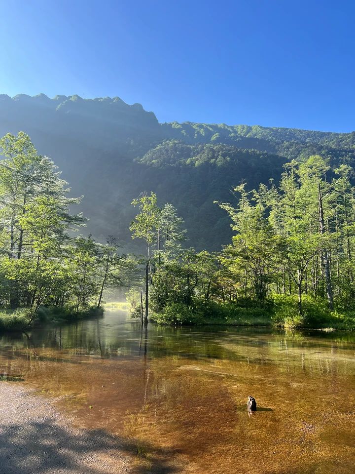 【長野旅】おすすめ観光スポット＆絶品グルメ7選！軽井沢から上高地、小布施まで、旅行好き読者が見つけた絶景＆ご当地グルメをまとめ_24