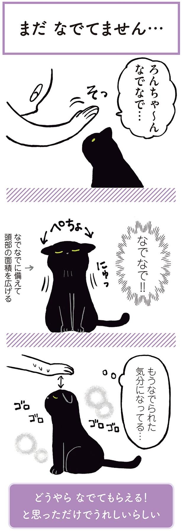 もうなでられた気分になってる… （C）AKR／KADOKAWA