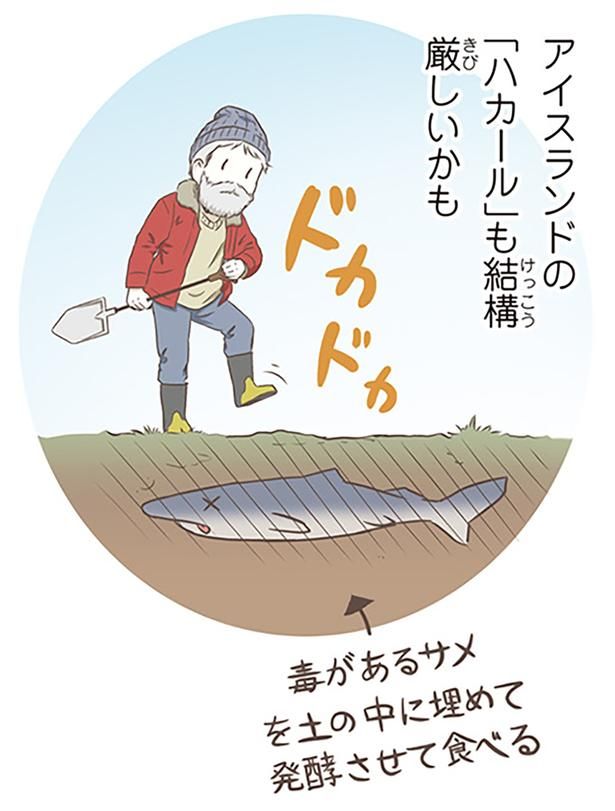 アイスランドの「ハカール」も結構厳しいかも （C）オーサ・イェークストロム／KADOKAWA
