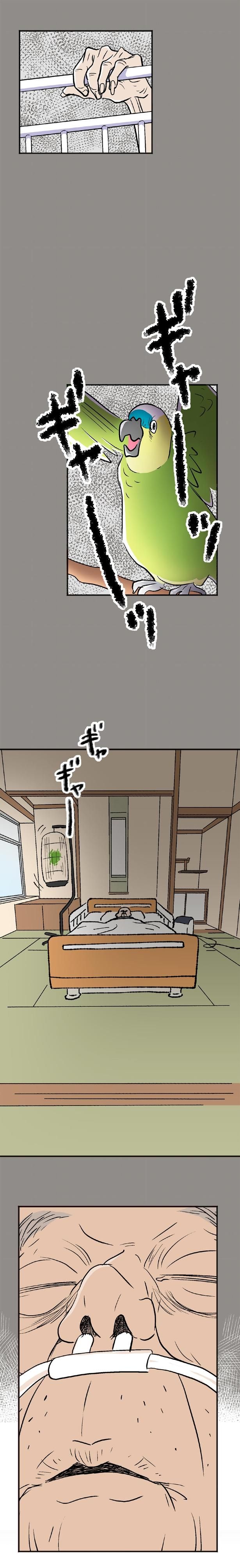ギャーッギャーッ （C）ウラモトユウコ、朱野帰子／KADOKAWA