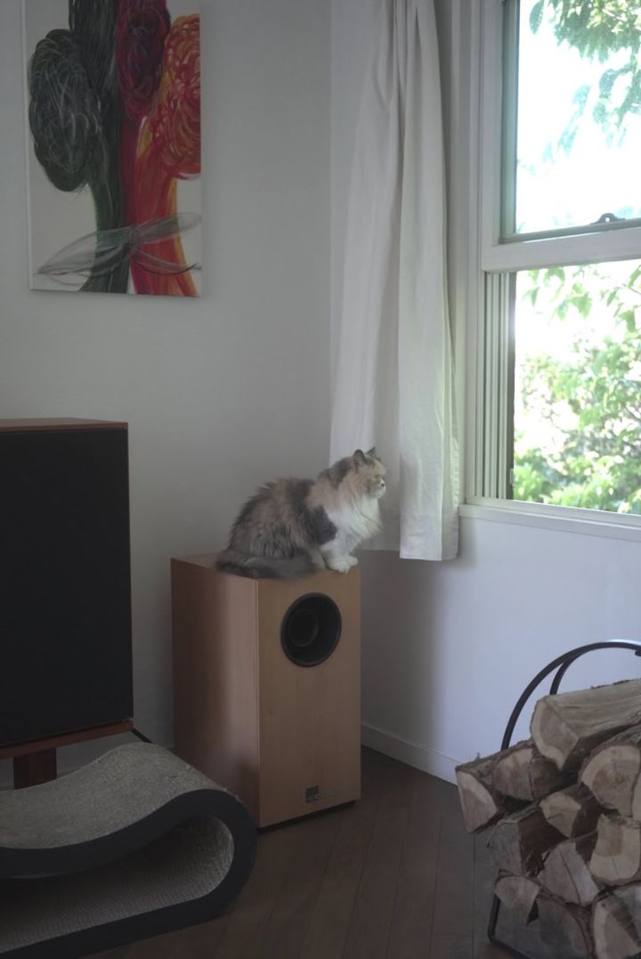 ベッチンフラノ