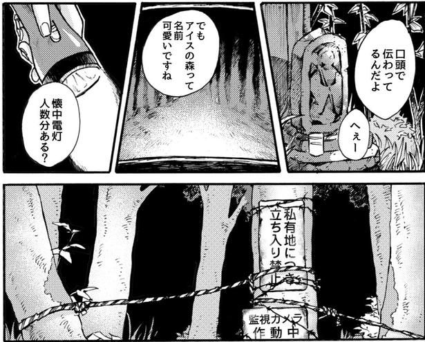 「私有地につき立ち入り禁止」「監視カメラ作動中」と入るのを禁止する看板が 画像提供：大家(@ksyjkysk)