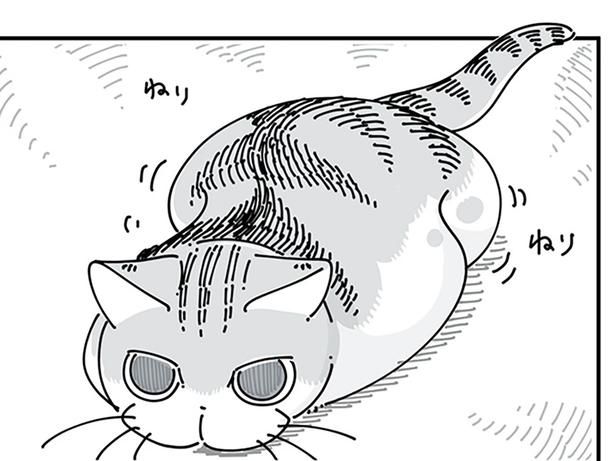 とびつきそうで… （C）キュルZ／KADOKAWA
