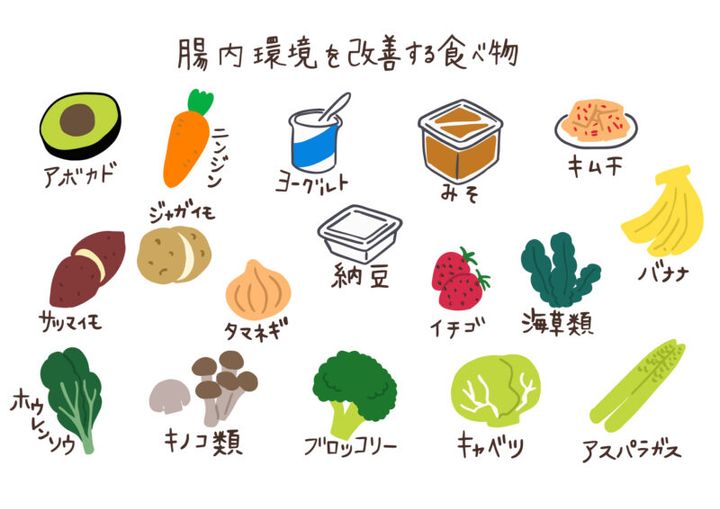 腸内環境を改善する食べ物