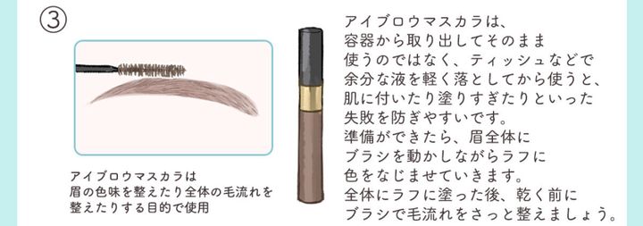 アイブロウマスカラで眉毛の色と毛流れを整えるイラスト