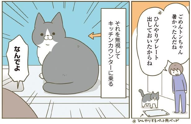 ひんやりプレートを出したのに （C）卵山玉子／KADOKAWA