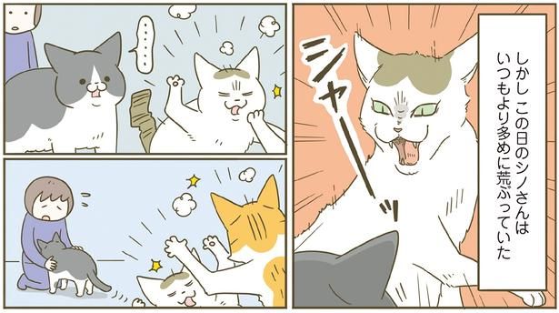 いつもより多めに荒ぶるシノさん （C）卵山玉子／KADOKAWA
