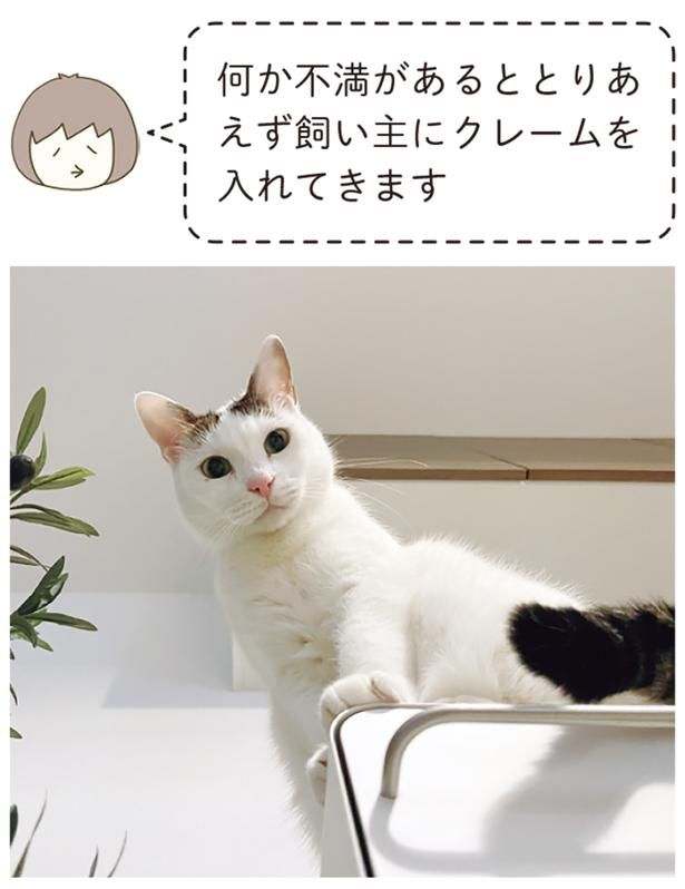 不満があるととりあえず飼い主にクレームを （C）卵山玉子／KADOKAWA