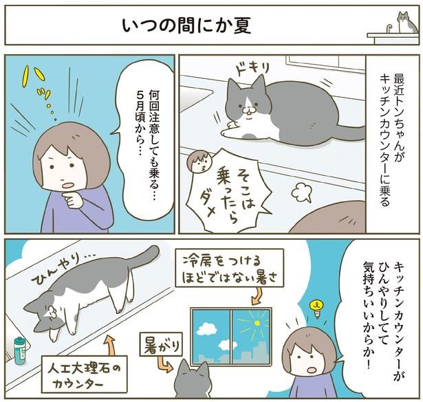 キッチンカウンターはひんやりしてて気持ちいい （C）卵山玉子／KADOKAWA