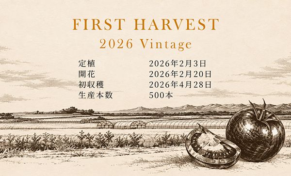 【福井県坂井市】三つ星農園より初摘みトマトだけでつくる500本限定「FIRST HARVEST 2026」登場