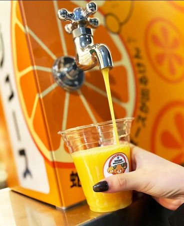 「湘南スポーツ＆ウェルネスフェスティバル2026」開催！コンセプトは、スポーツ×ウェルネス×エンターテインメント×フード