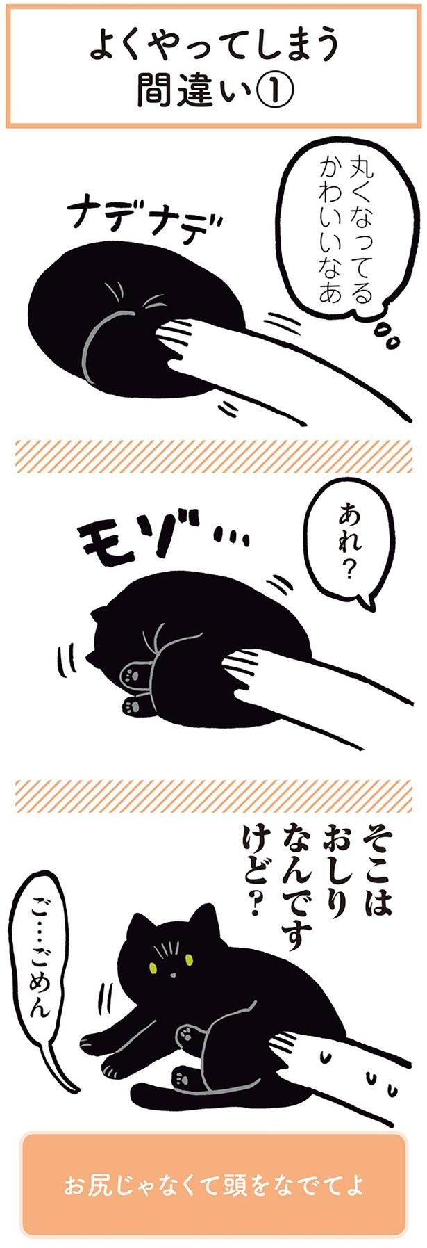 丸くなってる かわいいなあ （C）AKR／KADOKAWA