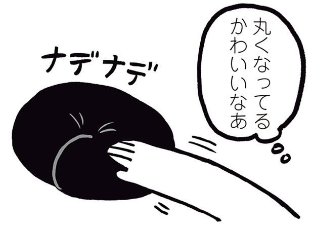 丸くなってるかわいいなあ （C）AKR／KADOKAWA
