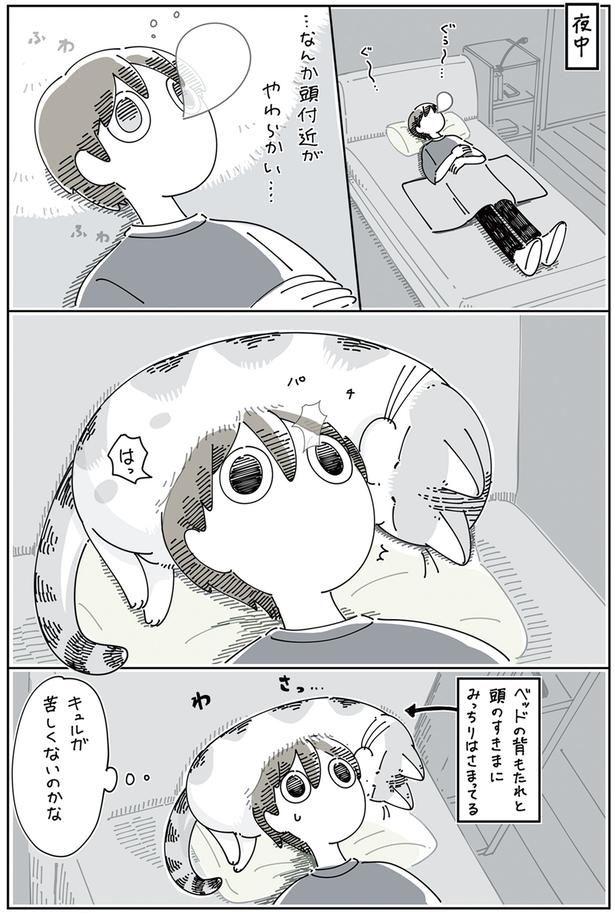 際どい場所で寝たいらしい （C）キュルZ／KADOKAWA