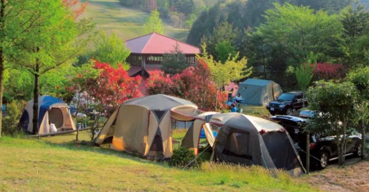 釣り好きにおすすめのキャンプ場10選【山口県】