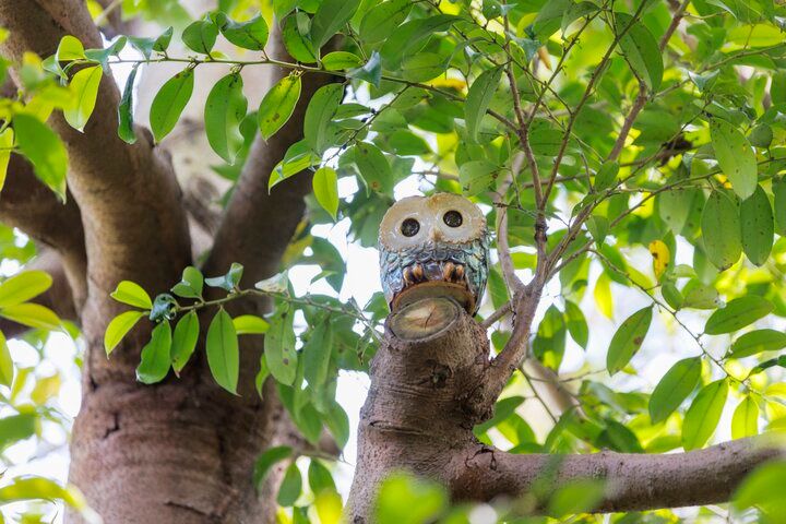 森の中にたたずむ、たねや・クラブハリエの「八日市の杜」で季節を映すできたてスイーツを