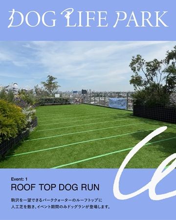 ドッグイベント「DOGLIFEPARK @駒沢パーククォーター」開催！ワークショップも