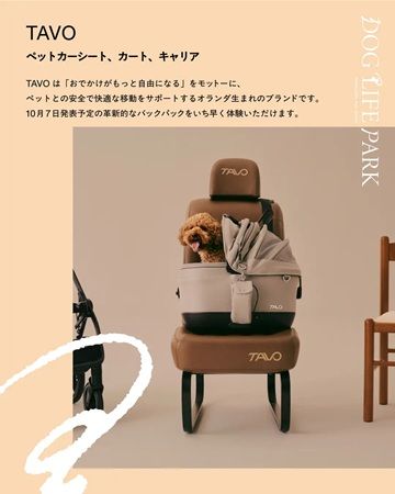ドッグイベント「DOGLIFEPARK @駒沢パーククォーター」開催！ワークショップも