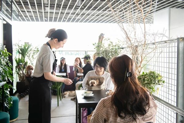 ドッグイベント「DOGLIFEPARK @駒沢パーククォーター」開催！ワークショップも