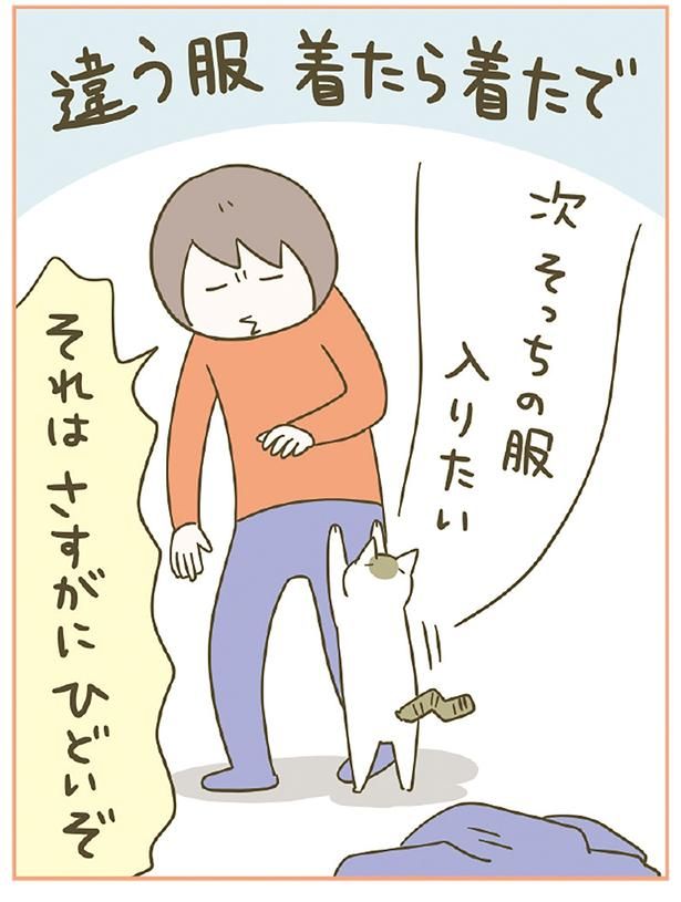 違う服着たら着たで （C）卵山玉子／KADOKAWA