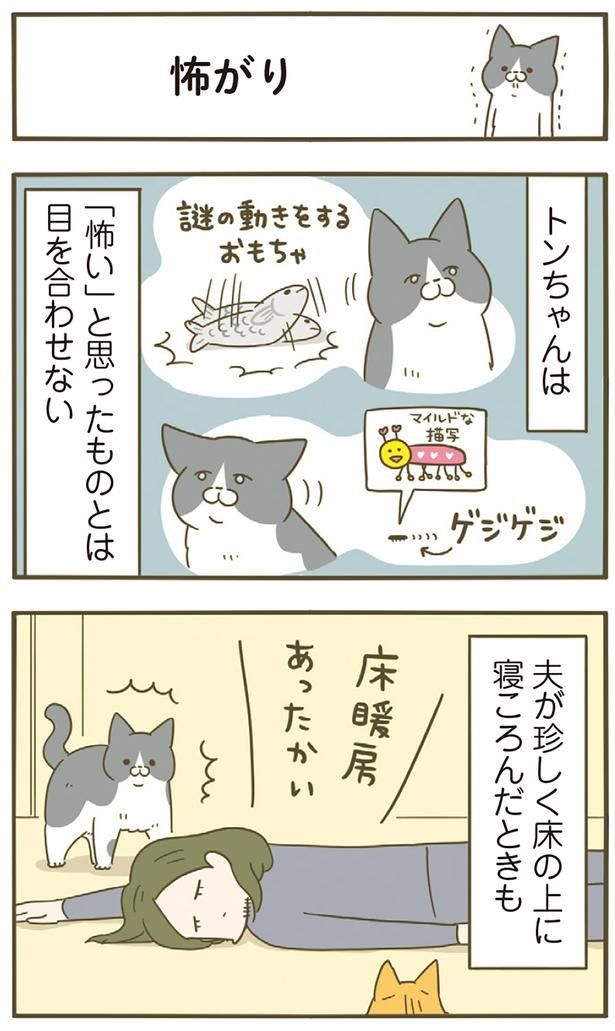 「怖い」と思ったものとは目を合わせないトンちゃん （C）卵山玉子／KADOKAWA