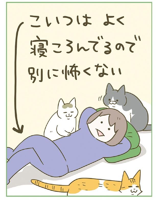 よく寝転んでいる飼い主は平気 （C）卵山玉子／KADOKAWA