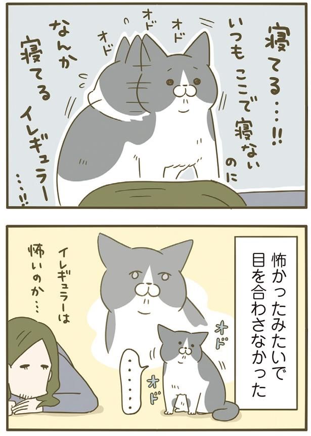 怖かったみたい （C）卵山玉子／KADOKAWA