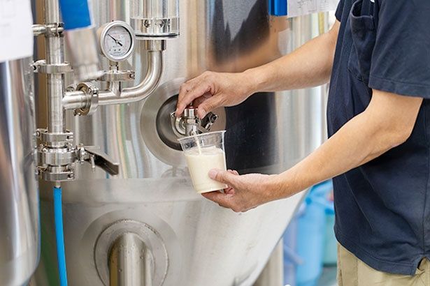 タンクから熟成途中のビール「若ビール」を注ぐ／新座クラフト