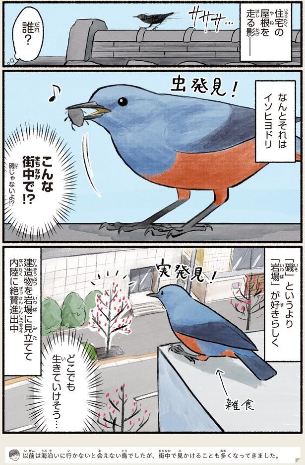 どこでも生きていけそう… （C）piro piro piccolo／KADOKAWA